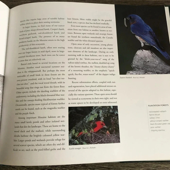 1997 Oak Ridges Moraine Book - Picture 4 of 7